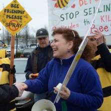 Lisa Arkin shakes someone's hand at a rally to stop the sale of pesticides that are killing bees.